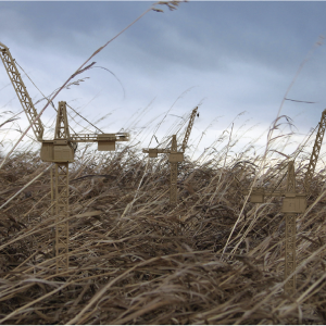 The 2010 Alberta Biennial of Contemporary Art: “Timeland”