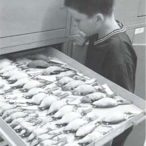 Bill Burns