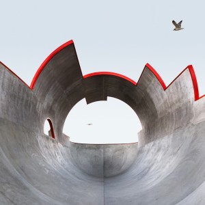 “Out of Control: The Concrete Art of Skateboarding”