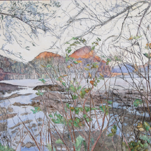 Dorothy Knowles