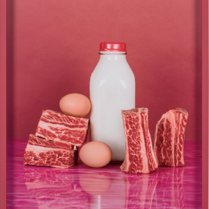 Elad Lassry