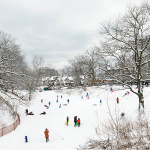 “An Enduring Wilderness: Toronto’s Natural Parklands”