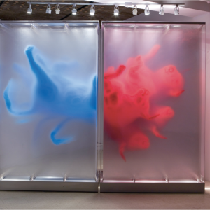 David Spriggs