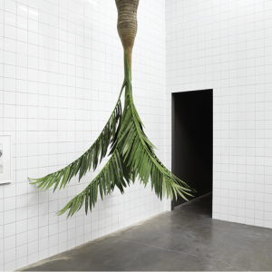 Rosemarie Trockel